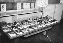 Sargent class dinos 1954